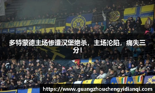 3377体育官网