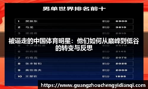 被逼走的中国体育明星：他们如何从巅峰到低谷的转变与反思