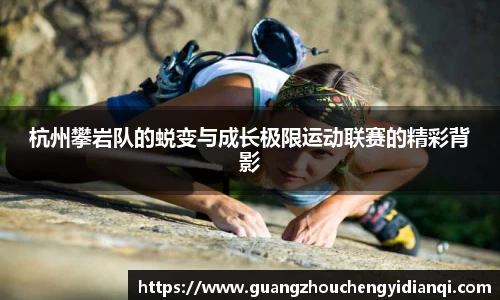 3377体育官网