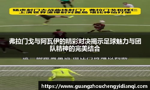 3377体育首页