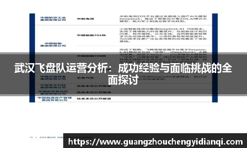 武汉飞盘队运营分析：成功经验与面临挑战的全面探讨