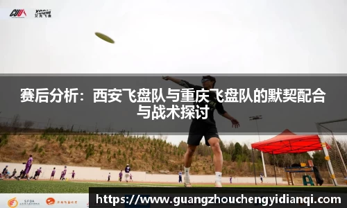 3377体育官网